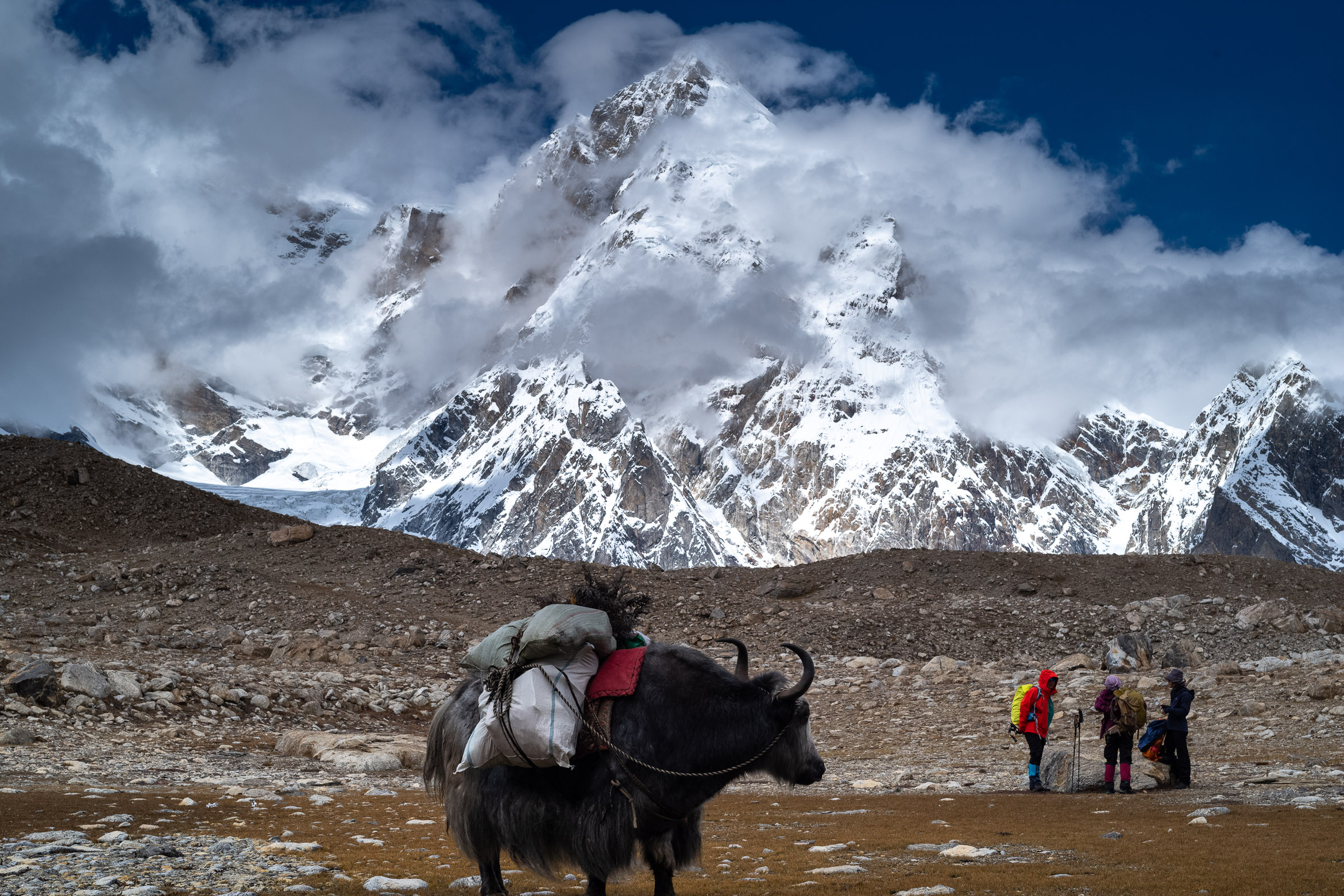 牦牛和马负责运输装备与补给 Use yaks and horses to transport equipment and supplies