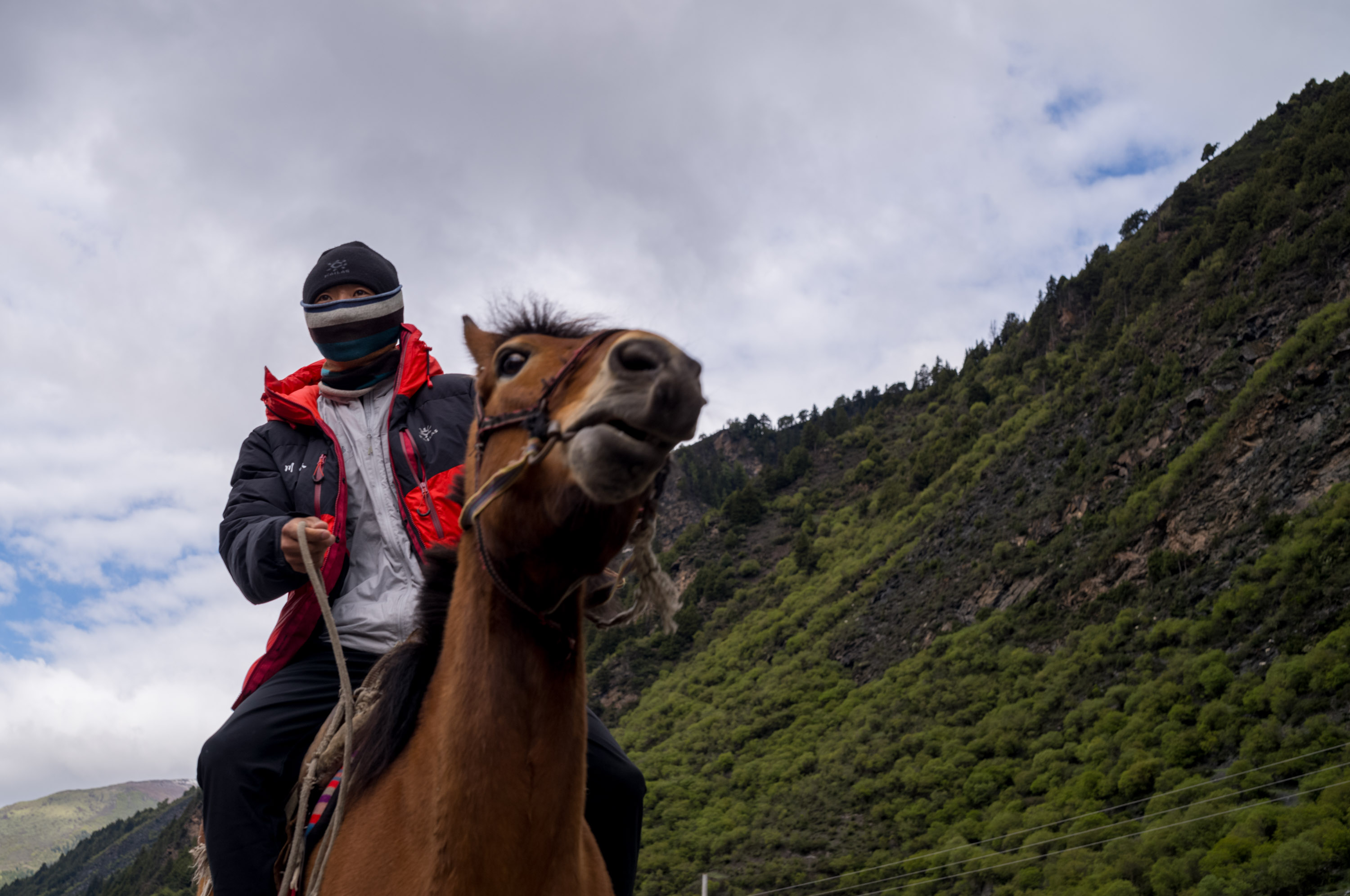 Ask local villagers to use horses to carry supplies to the base camp 请本地村民用马驮运物质去大本营